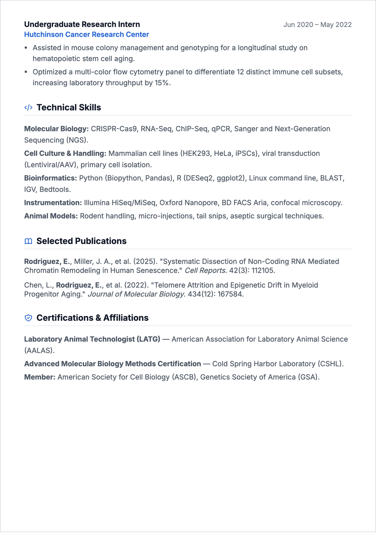 Free Academic Student ATS CV Template, AI CV Builder