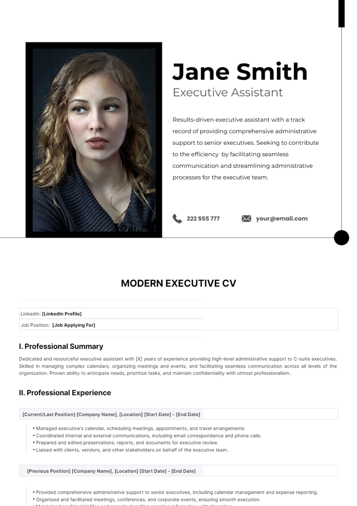 Modern Executive CV Template