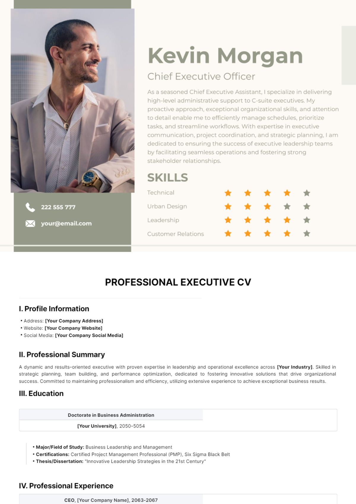 Professional Executive CV Template
