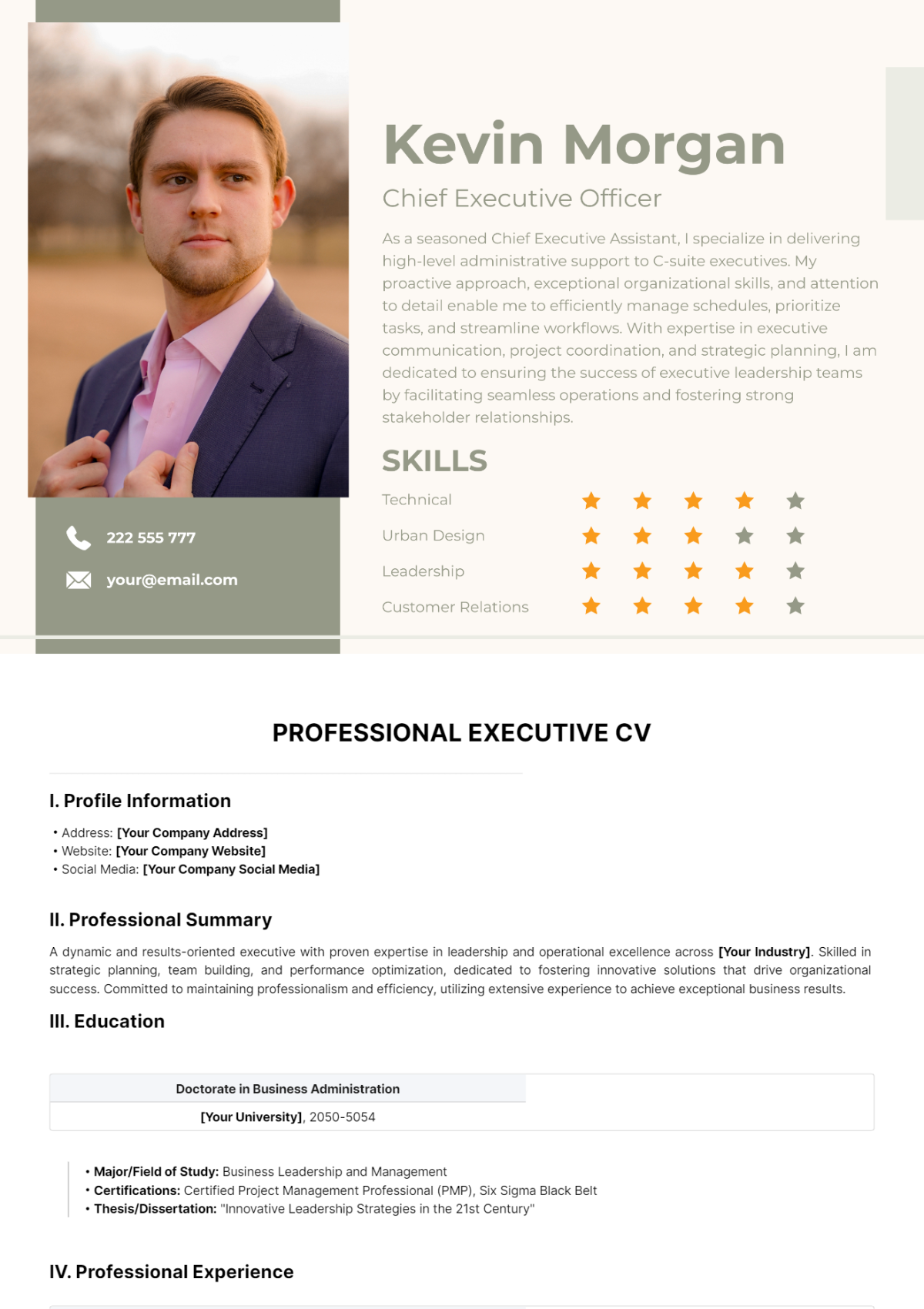 Professional Executive CV Template - Edit Online & Download