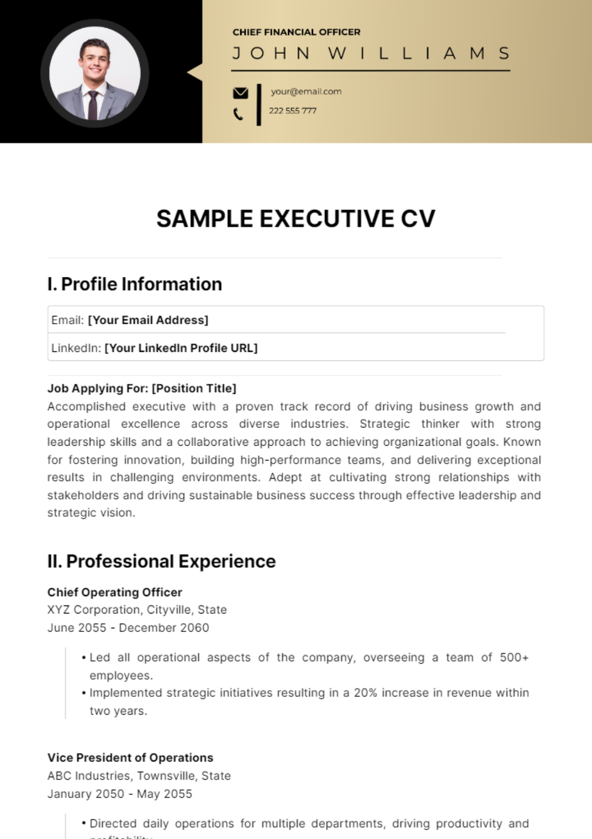 Sample Executive CV Template