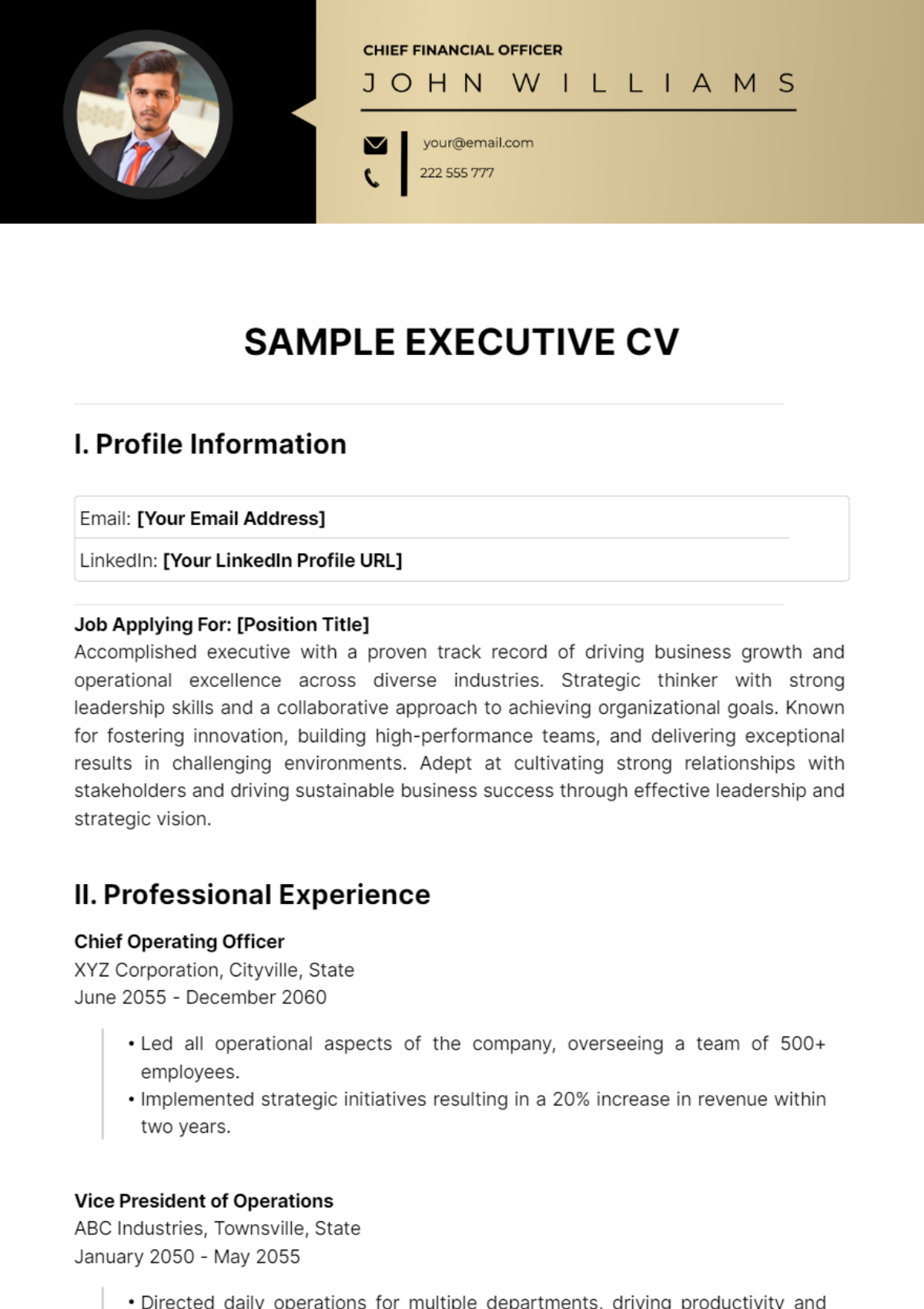 Sample Executive CV Template - Edit Online & Download