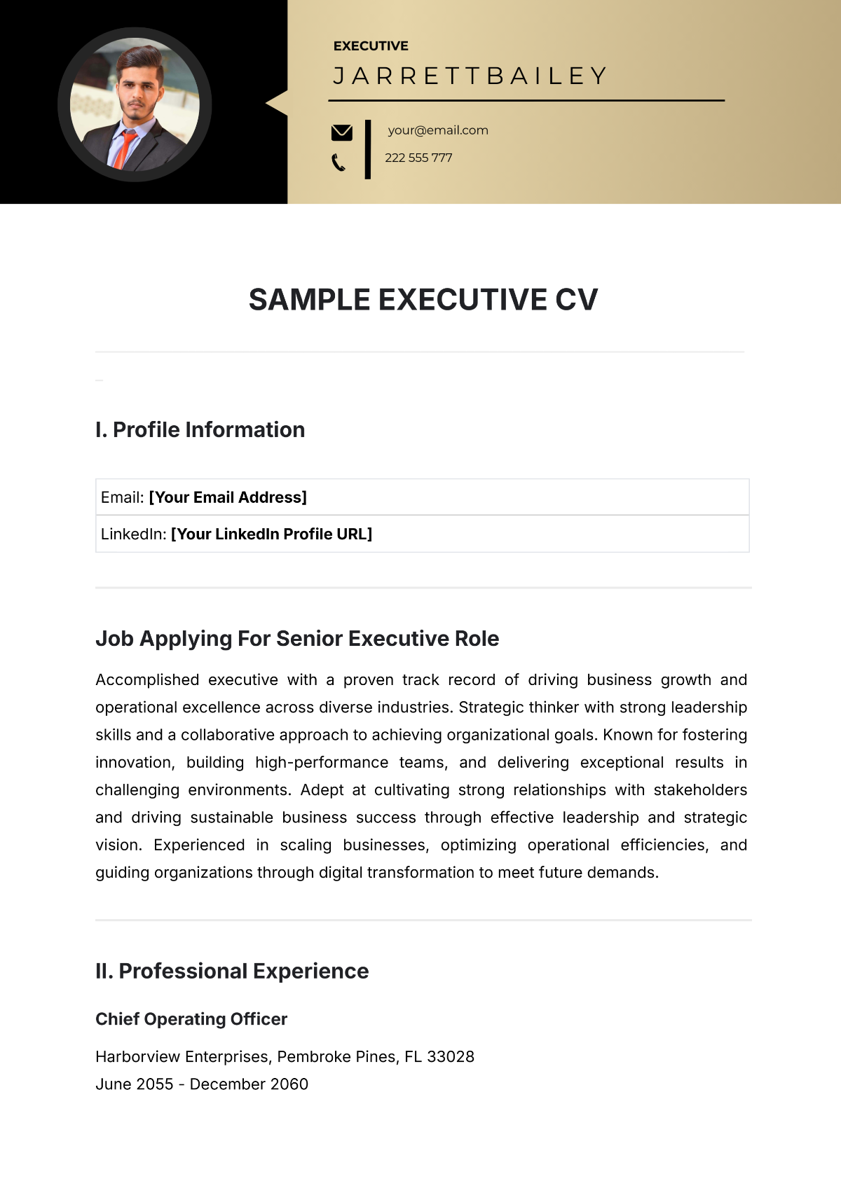 Sample Executive CV Template - Edit Online & Download