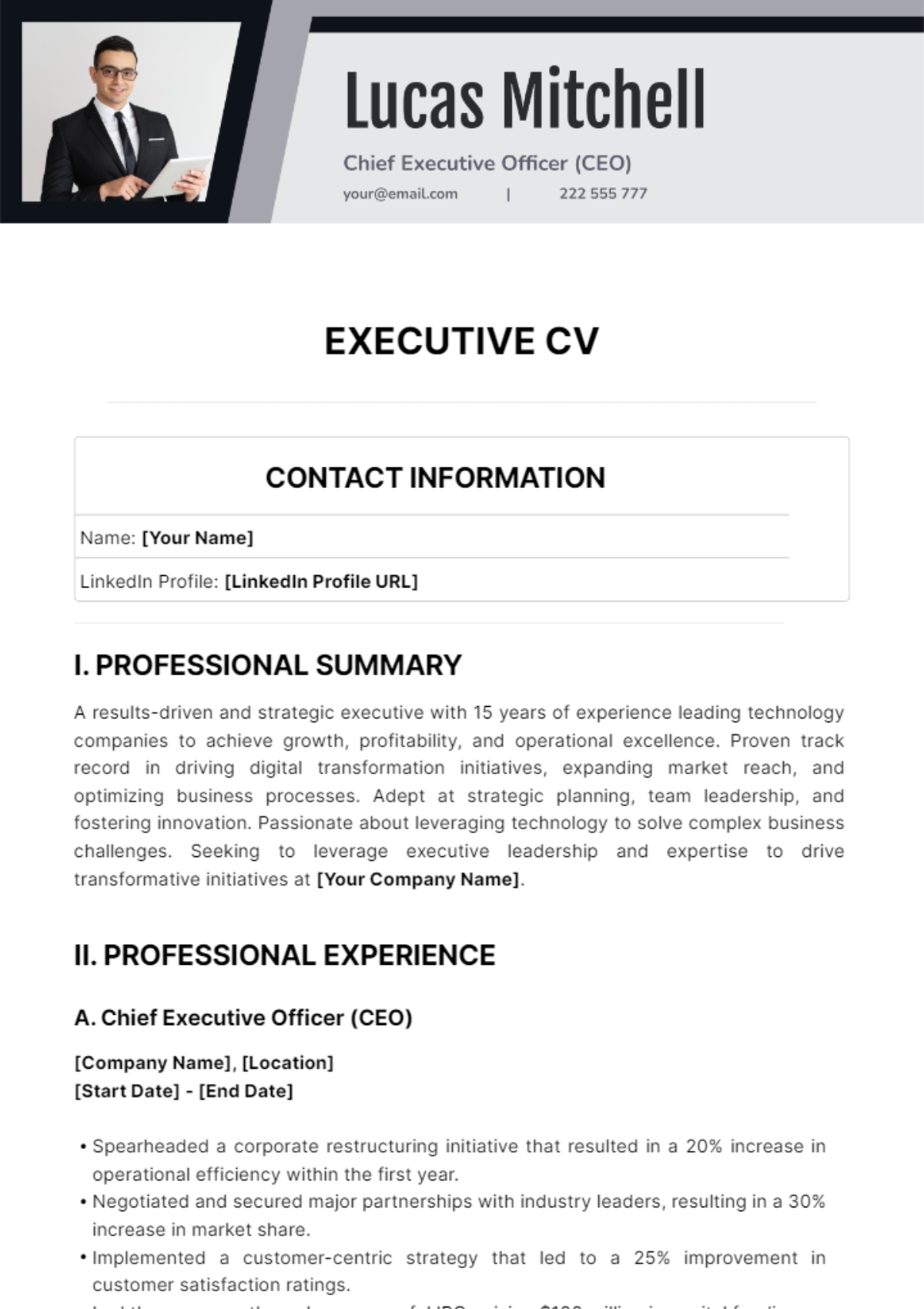 Executive CV Template