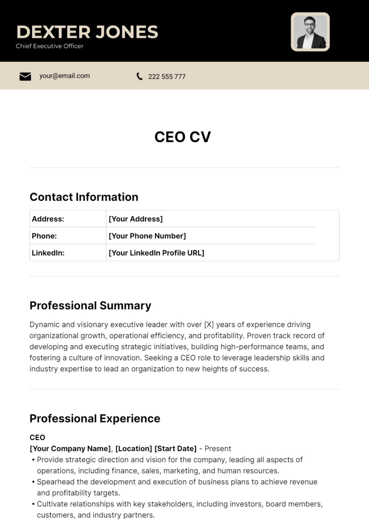 CEO CV Template