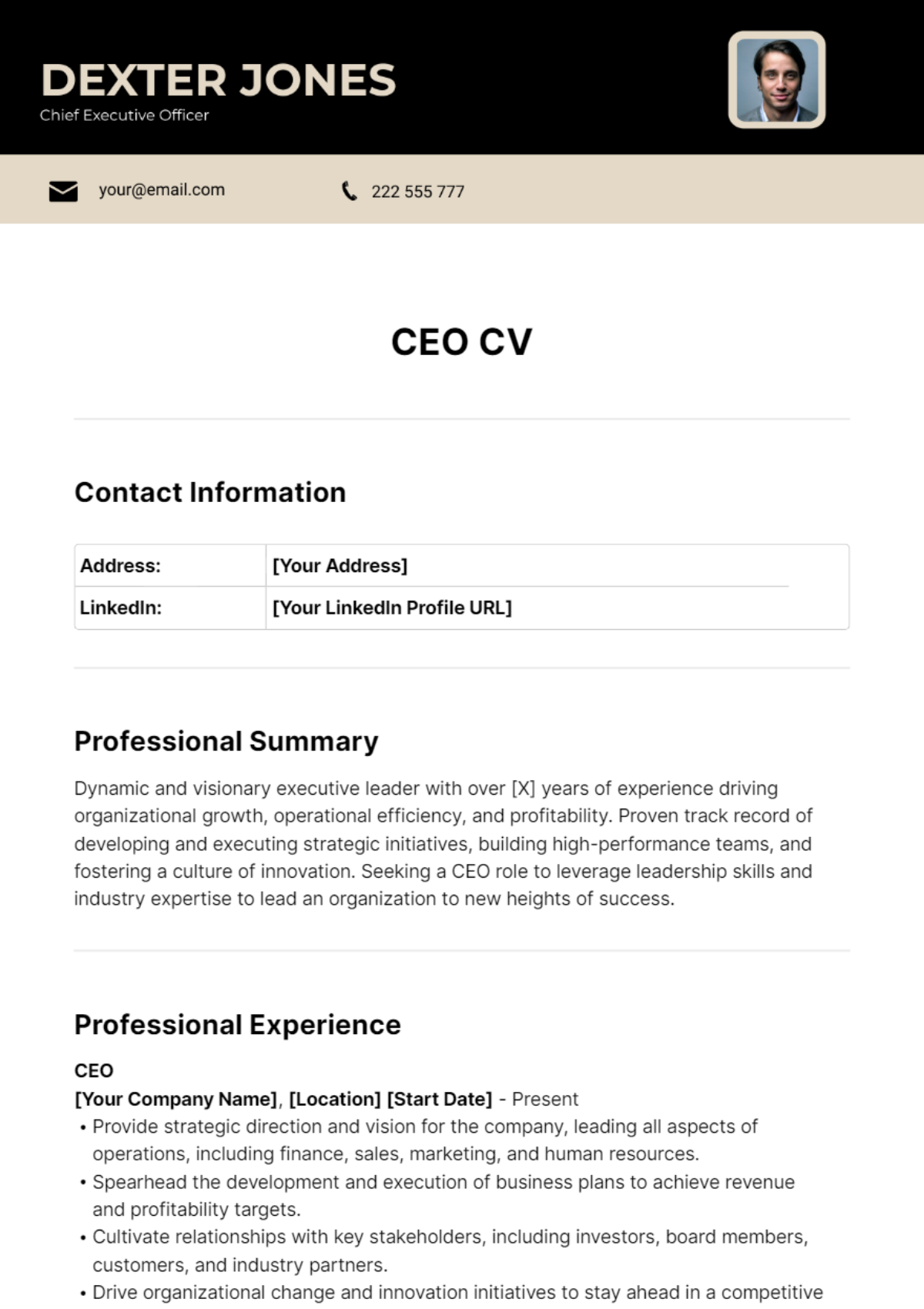 Free Ceo Resume Templates And Examples Edit Online And Download 2829