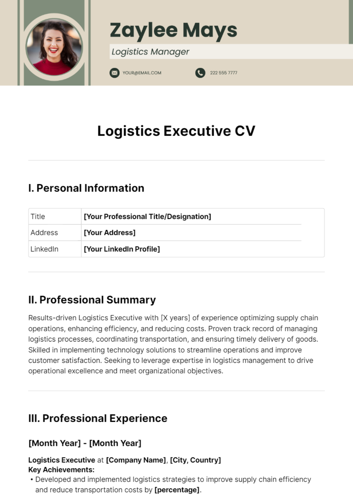 Logistics Executive CV Template - Edit Online & Download