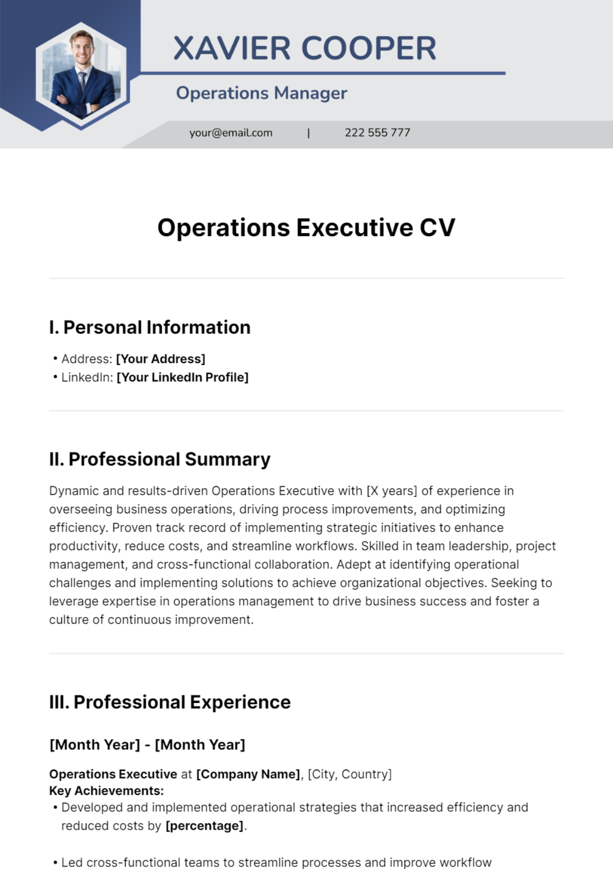 Operations Executive CV Template