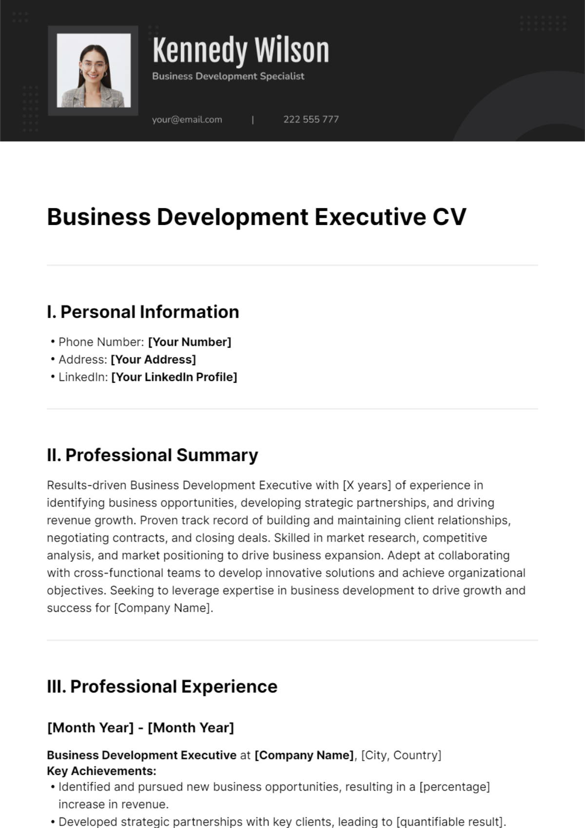 Business Development Executive CV Template