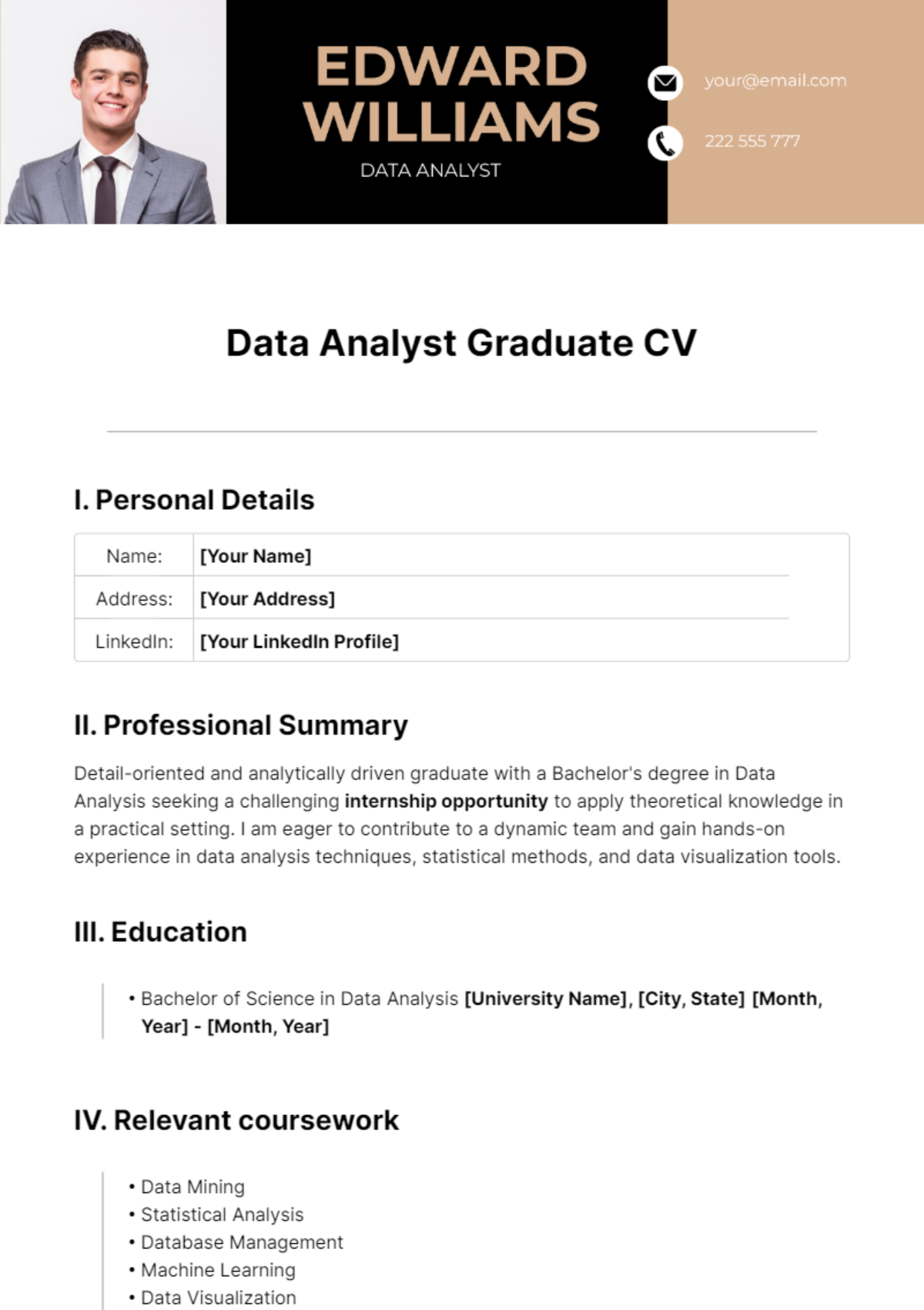 Data Analyst Graduate CV Template