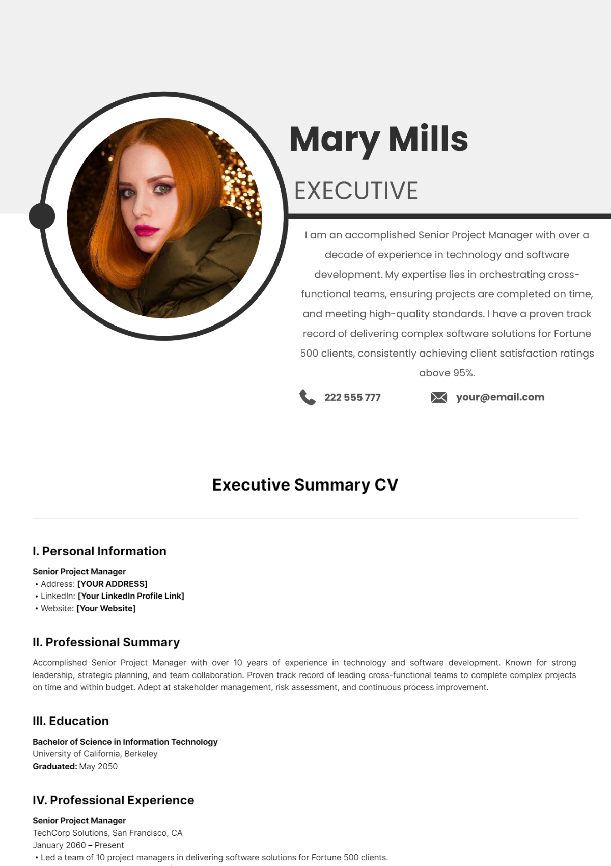 Executive Summary CV Template