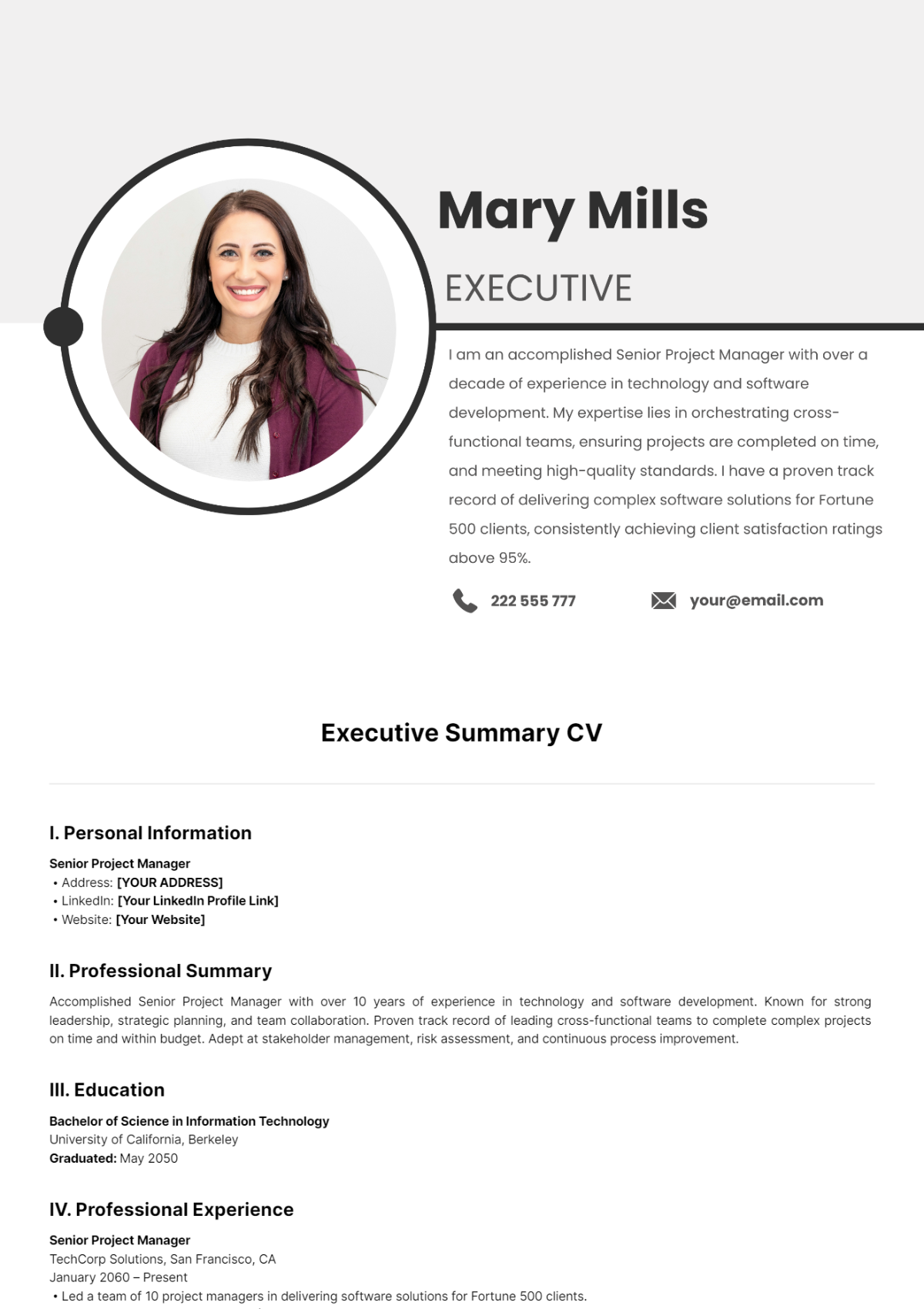 Executive Summary CV Template - Edit Online & Download