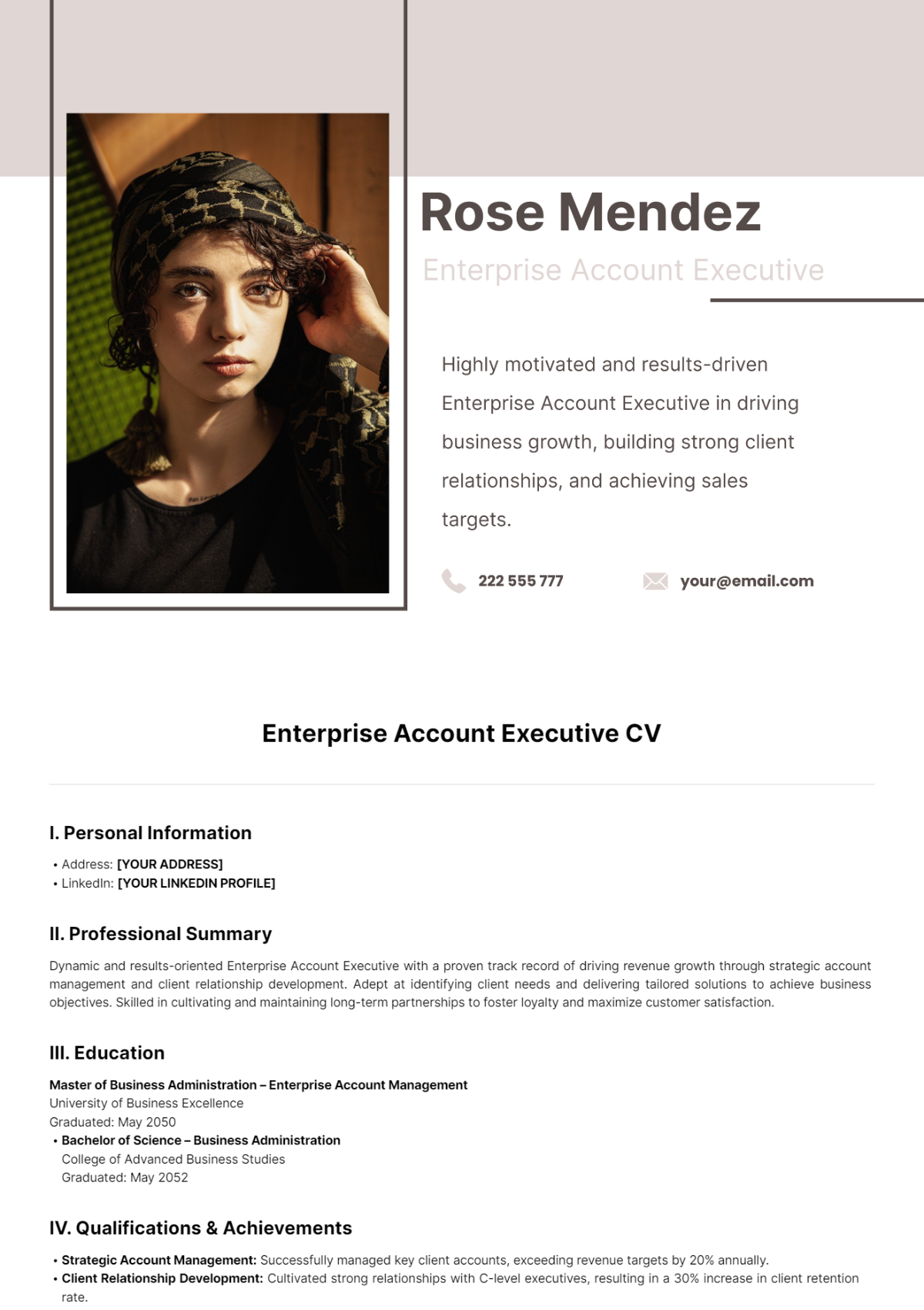 Enterprise Account Executive CV Template