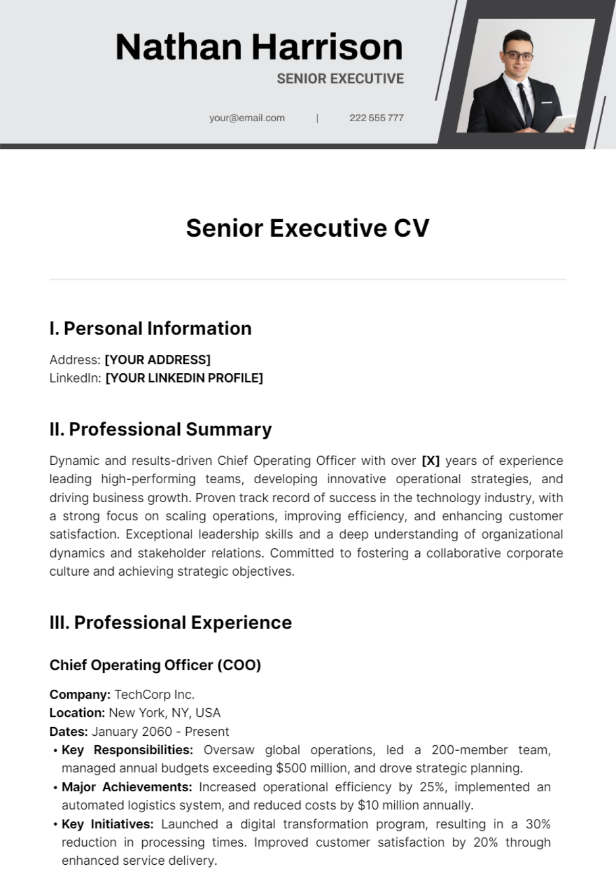 Senior Executive CV Template