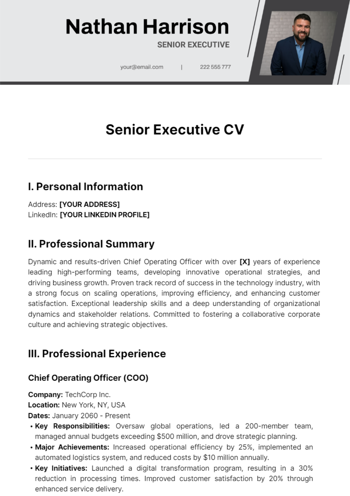 Senior Executive CV Template - Edit Online & Download