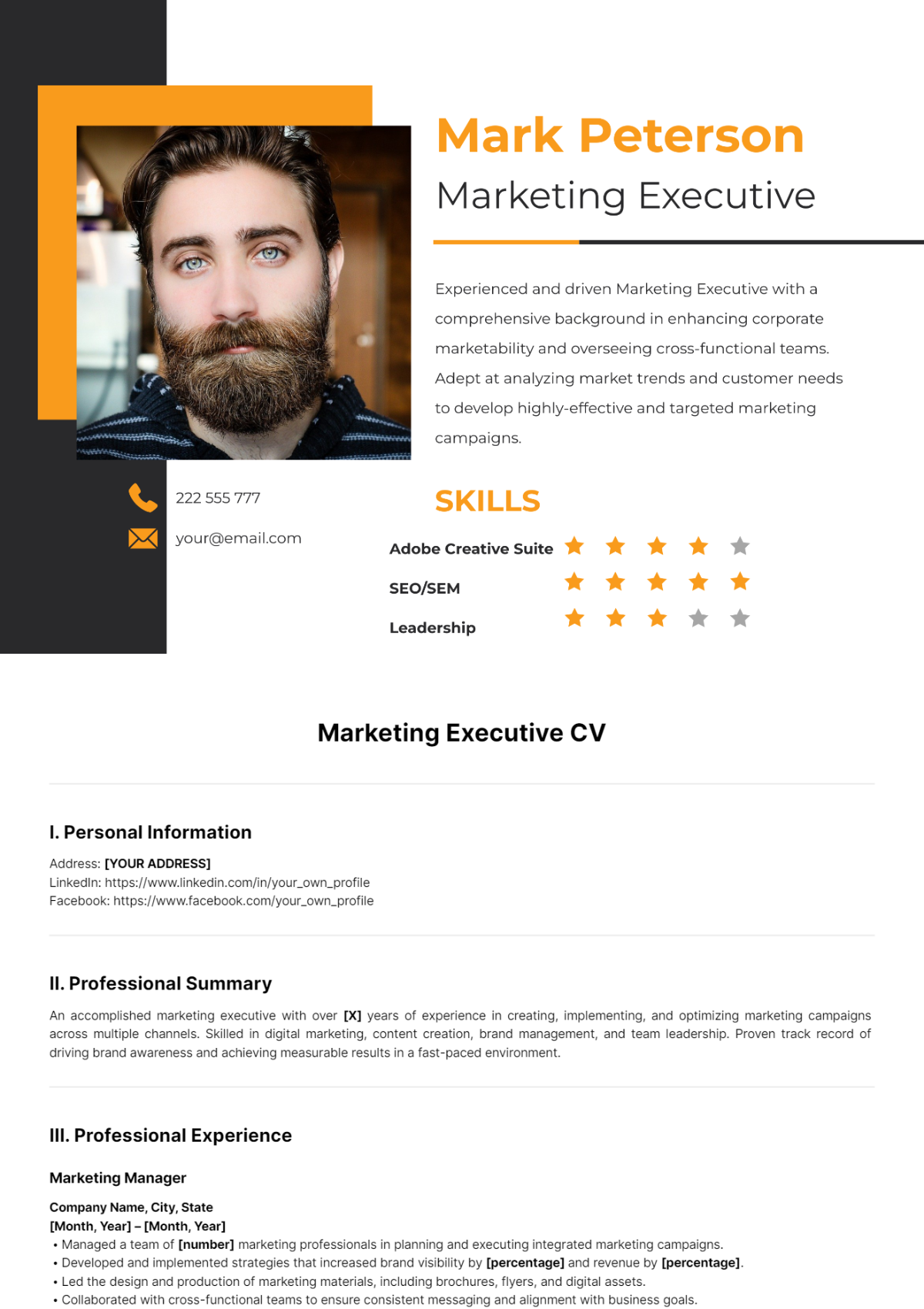 Marketing Executive CV Template