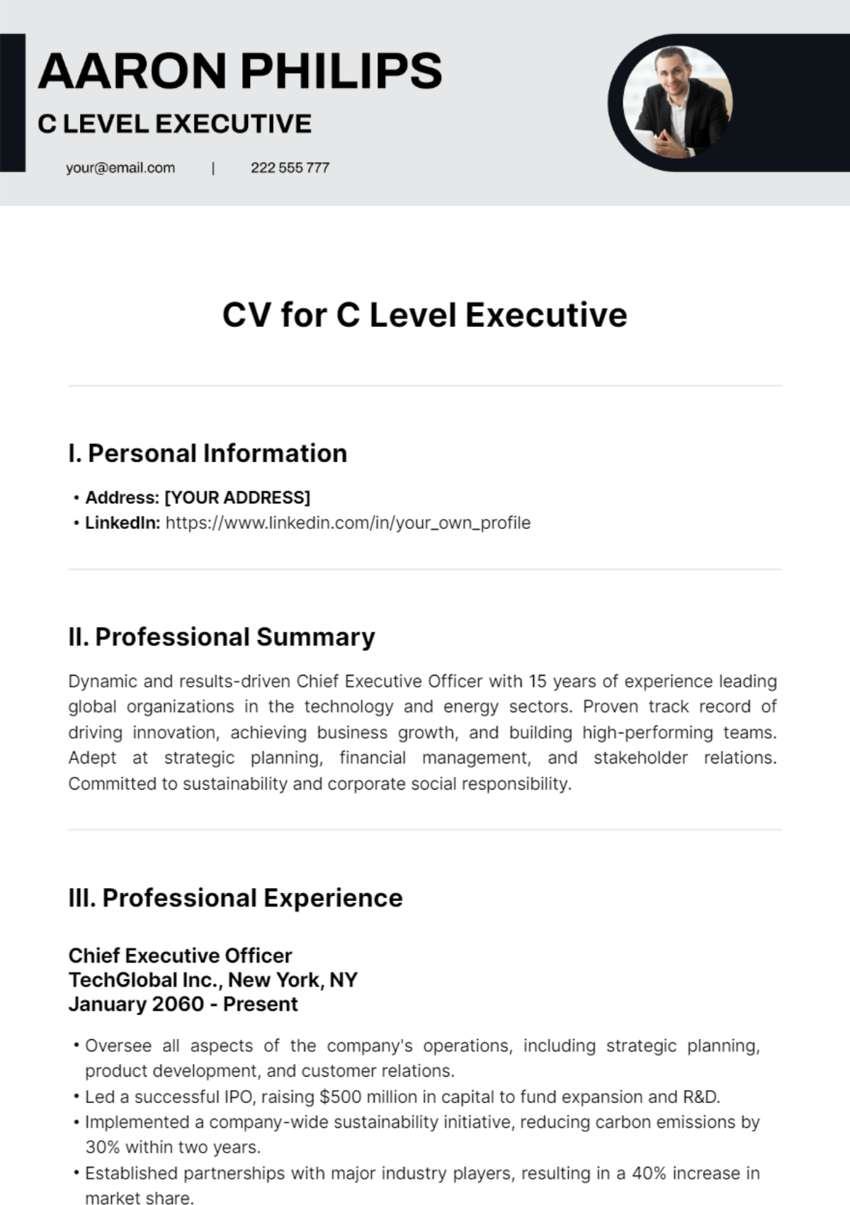 CV for C Level Executive Template