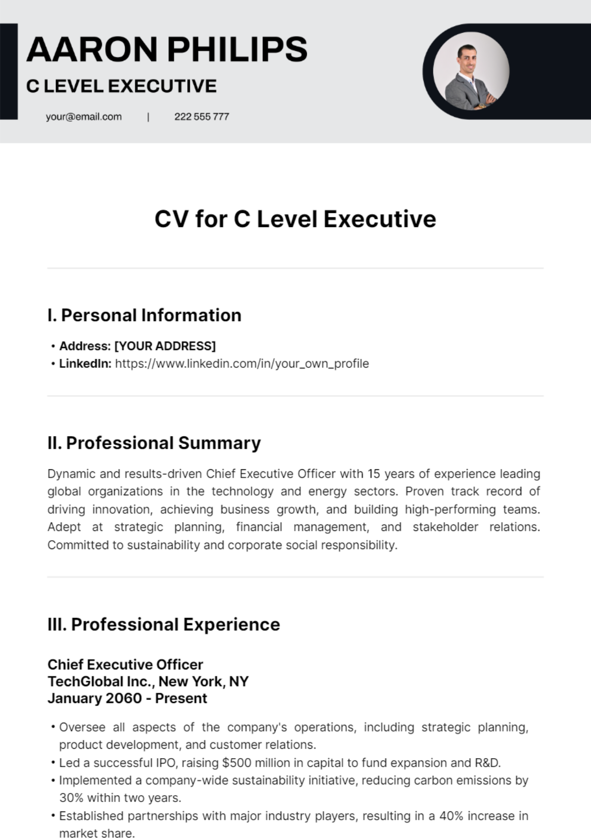 CV for C Level Executive Template - Edit Online & Download