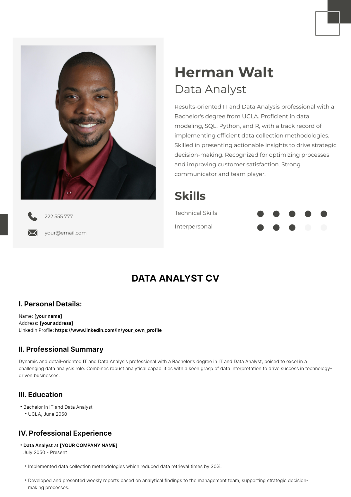 Data Analyst CV Template - Edit Online & Download