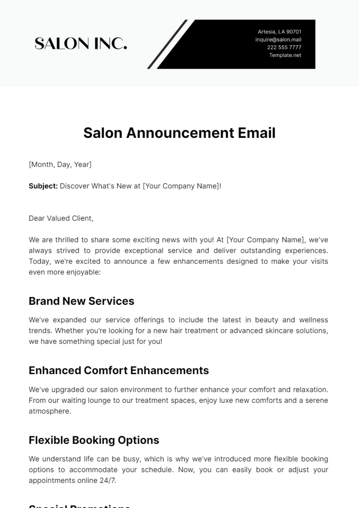 Salon Announcement Email Template