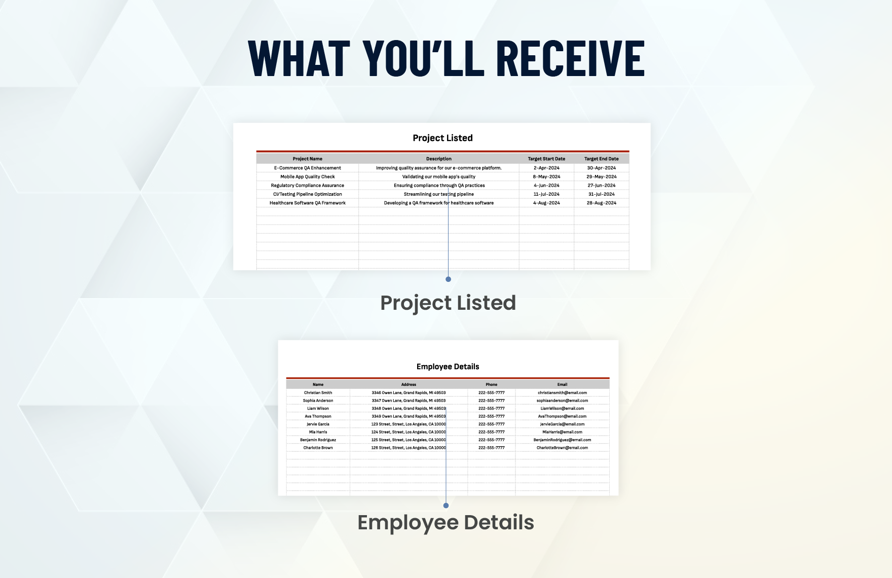 Project Financial Cost Management Template