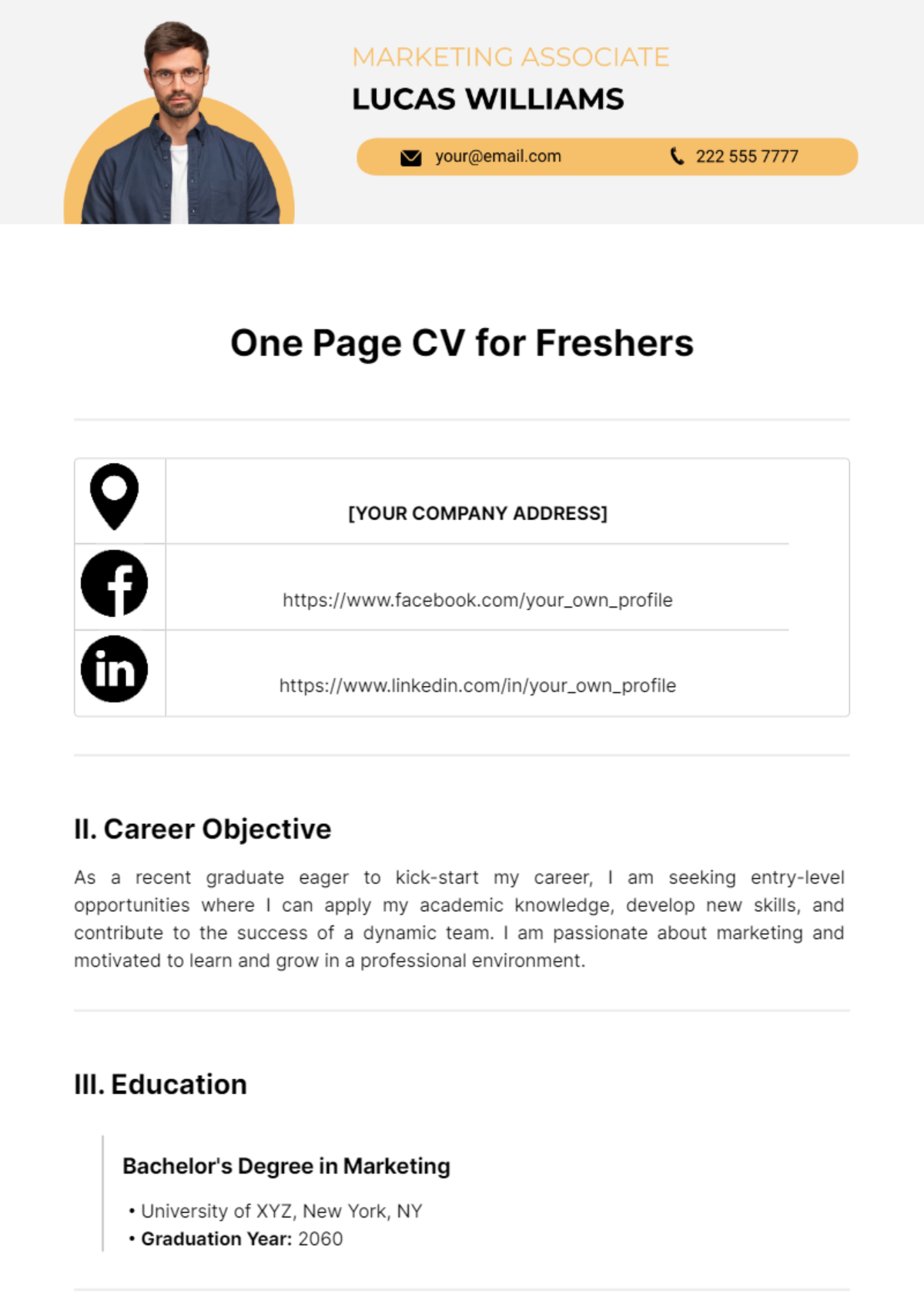 One Page CV for Freshers Template