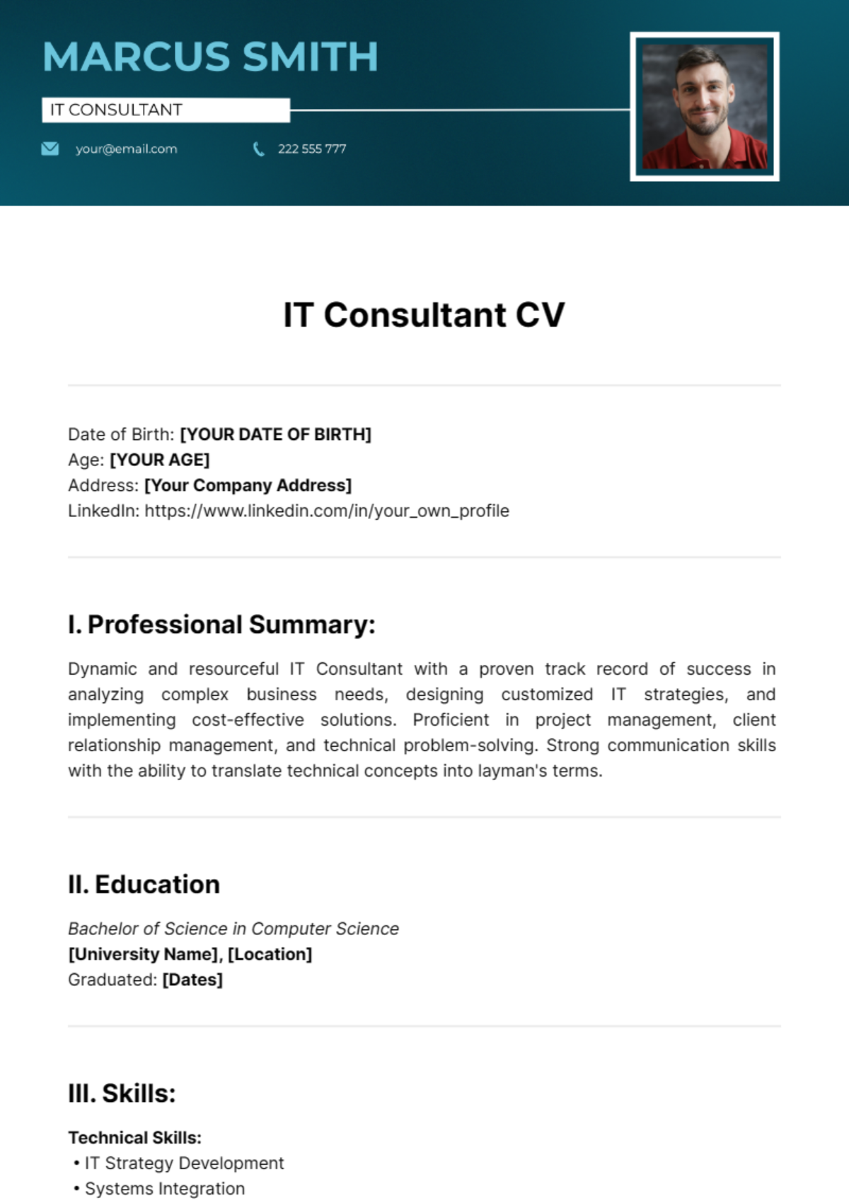 IT Consultant CV Template - Edit Online & Download