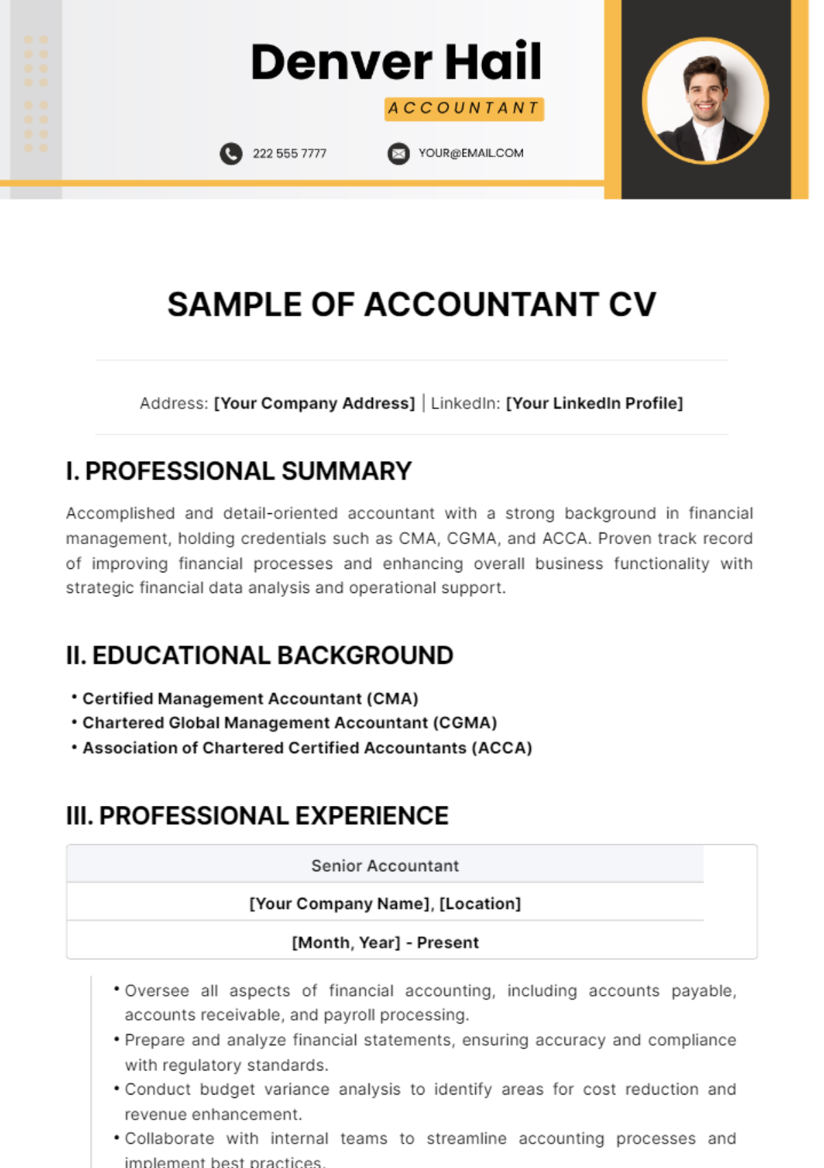 Sample of Accountant CV Template