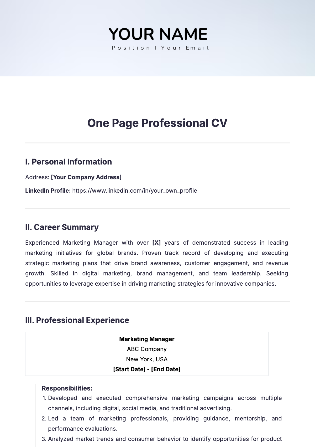 One Page Professional CV Template - Edit Online & Download