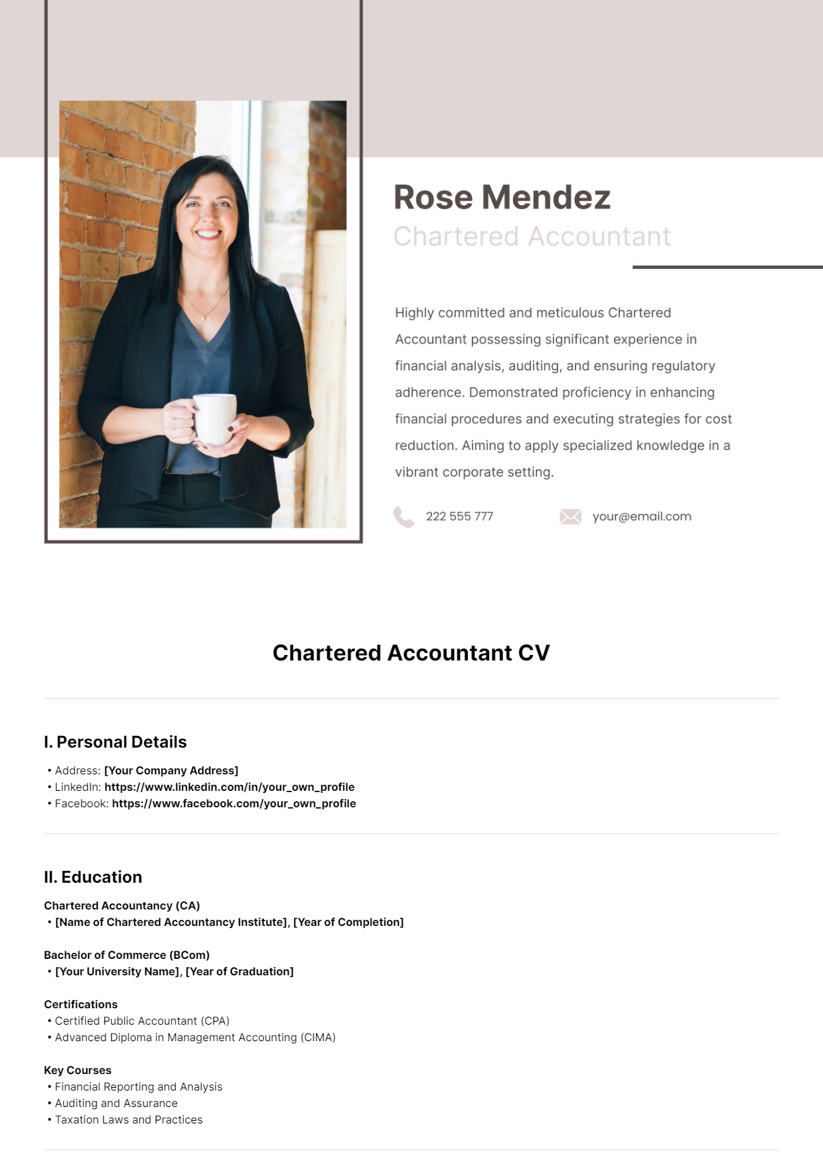 Chartered Accountant CV Template - Edit Online & Download