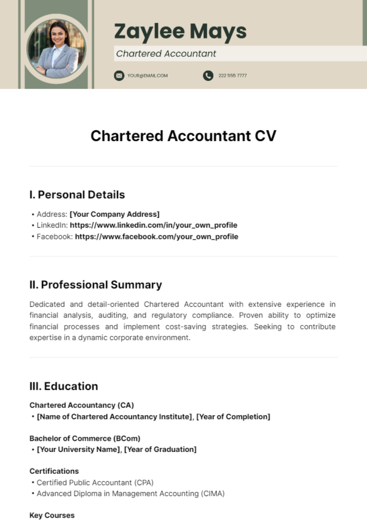 Chartered Accountant CV Template