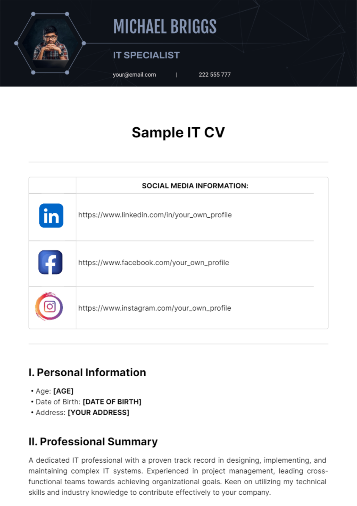 Sample IT CV Template