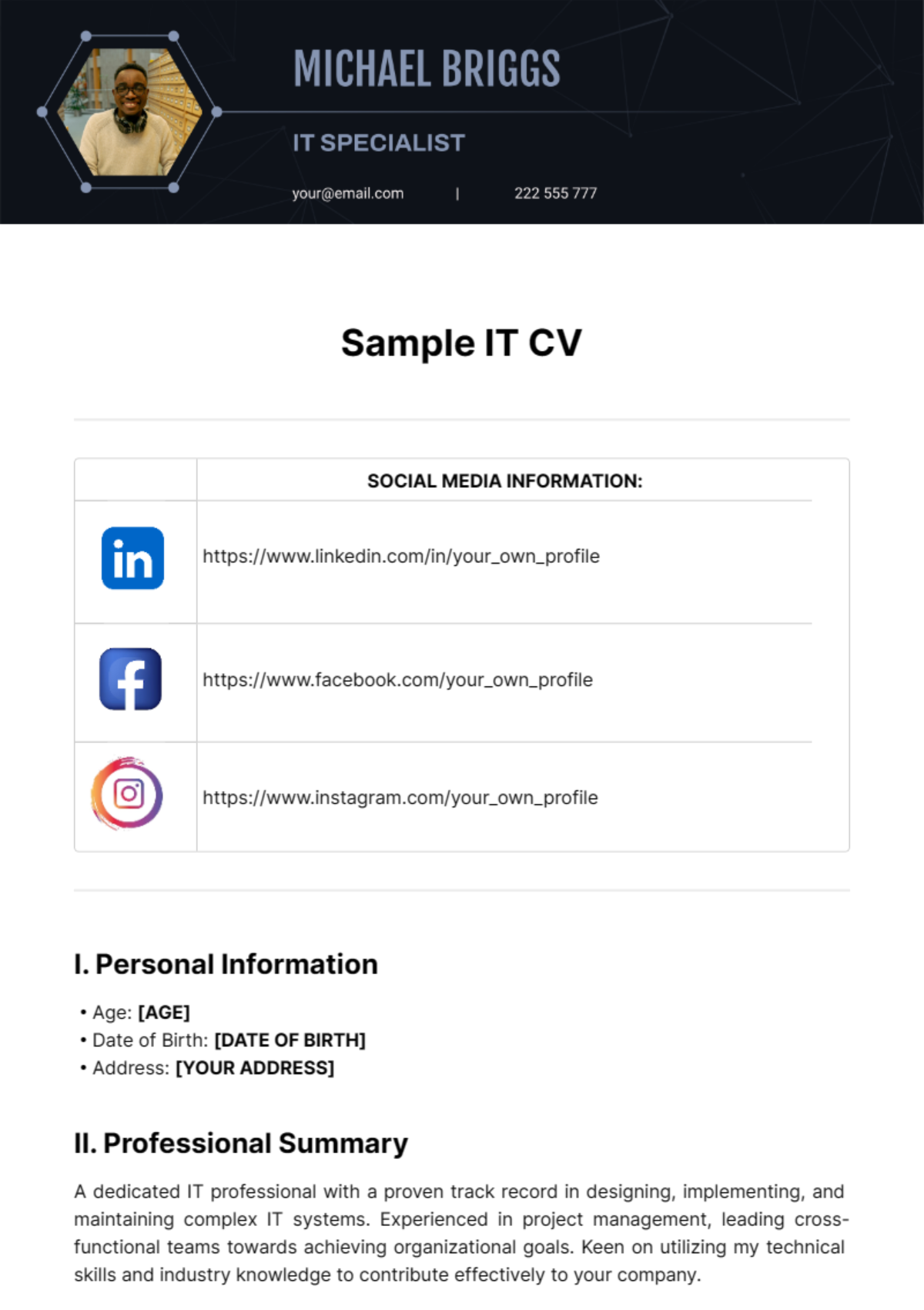 Sample IT CV Template - Edit Online & Download