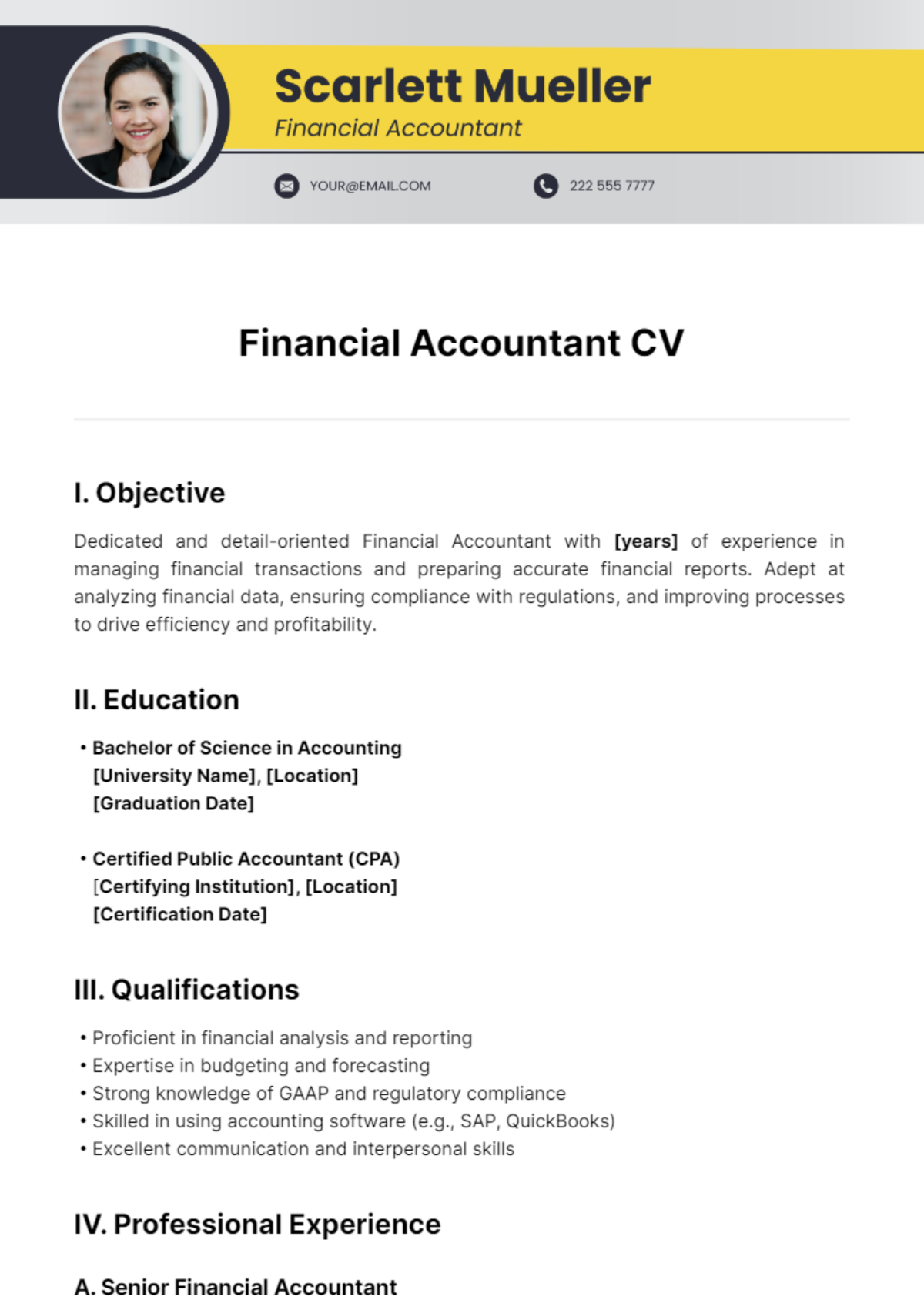 Financial Accountant CV Template - Edit Online & Download