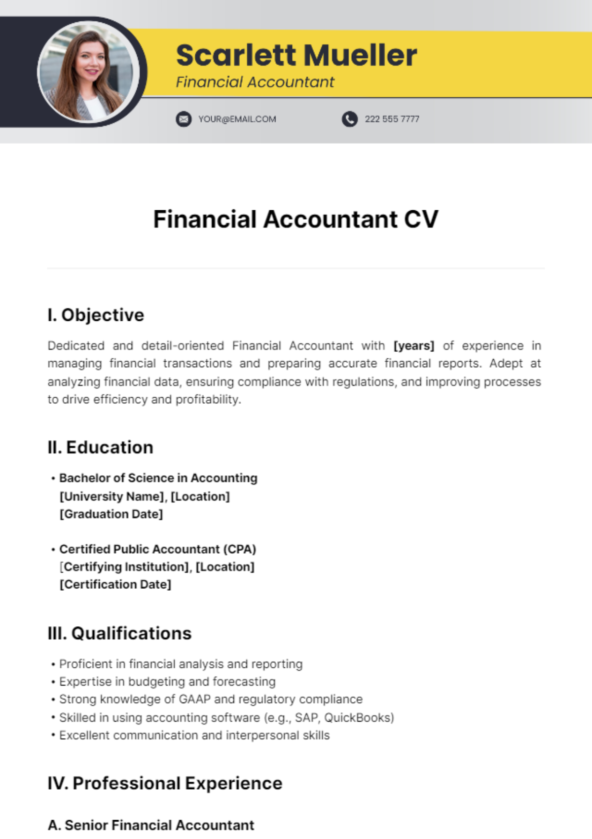 Financial Accountant CV Template