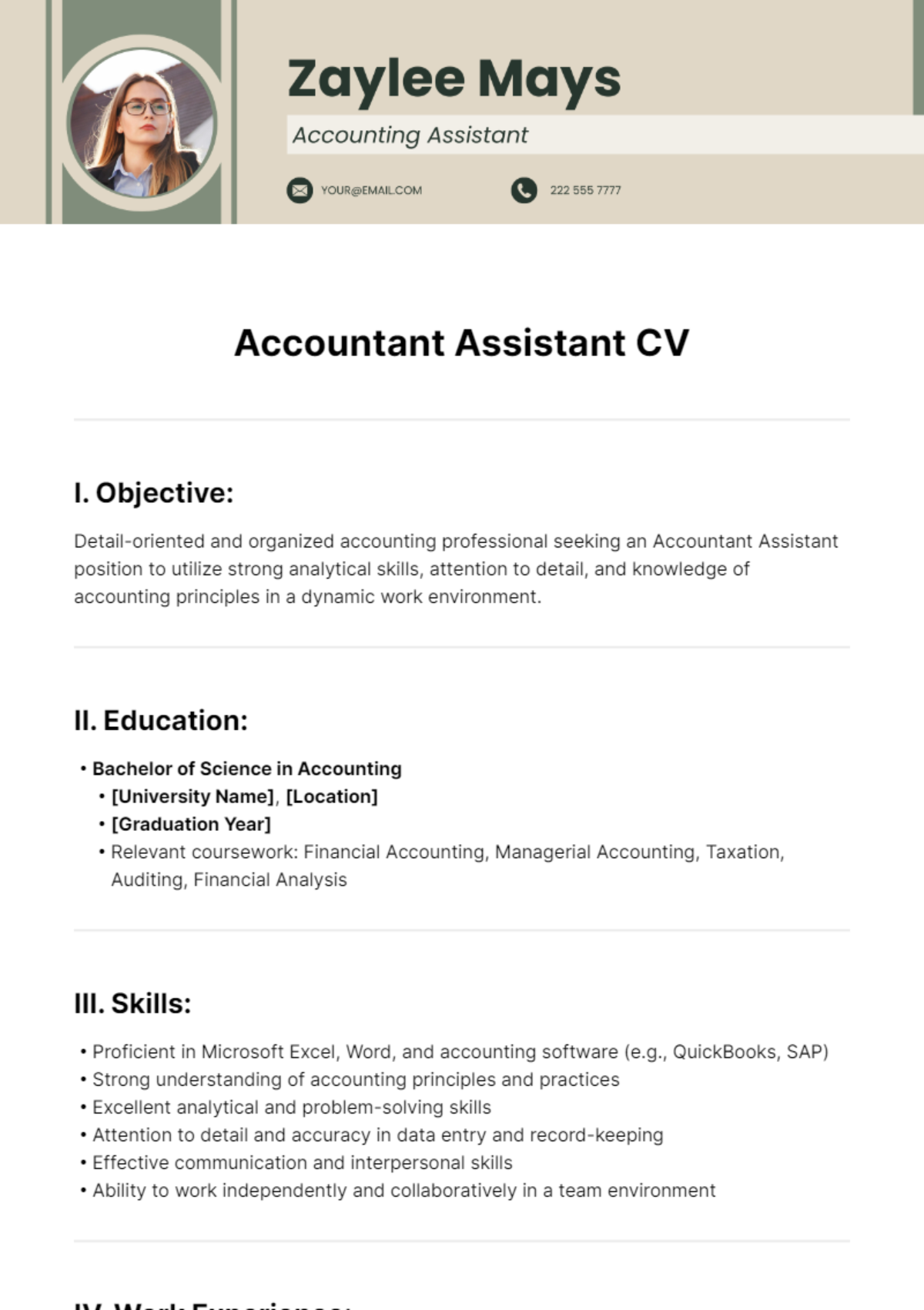 Accountant Assistant CV Template - Edit Online & Download