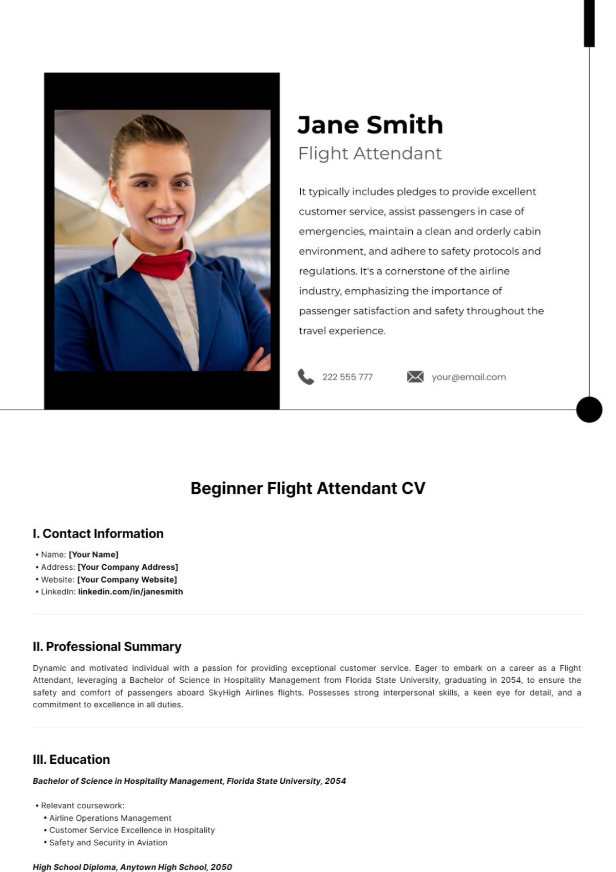 Beginner Flight Attendant CV Template - Edit Online & Download