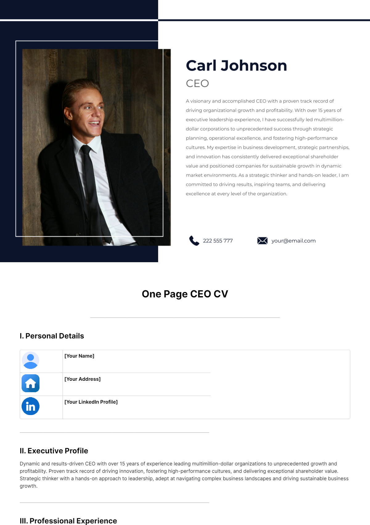 Free One Page CEO CV Template - Edit Online & Download | Template.net