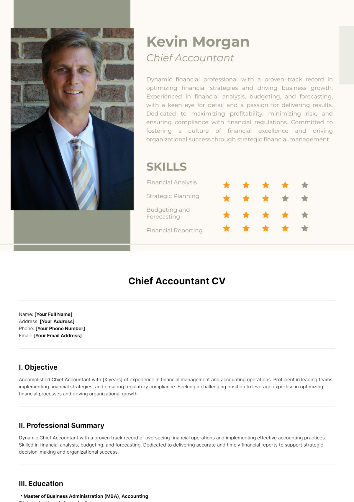 Chief Accountant CV Template - Edit Online & Download