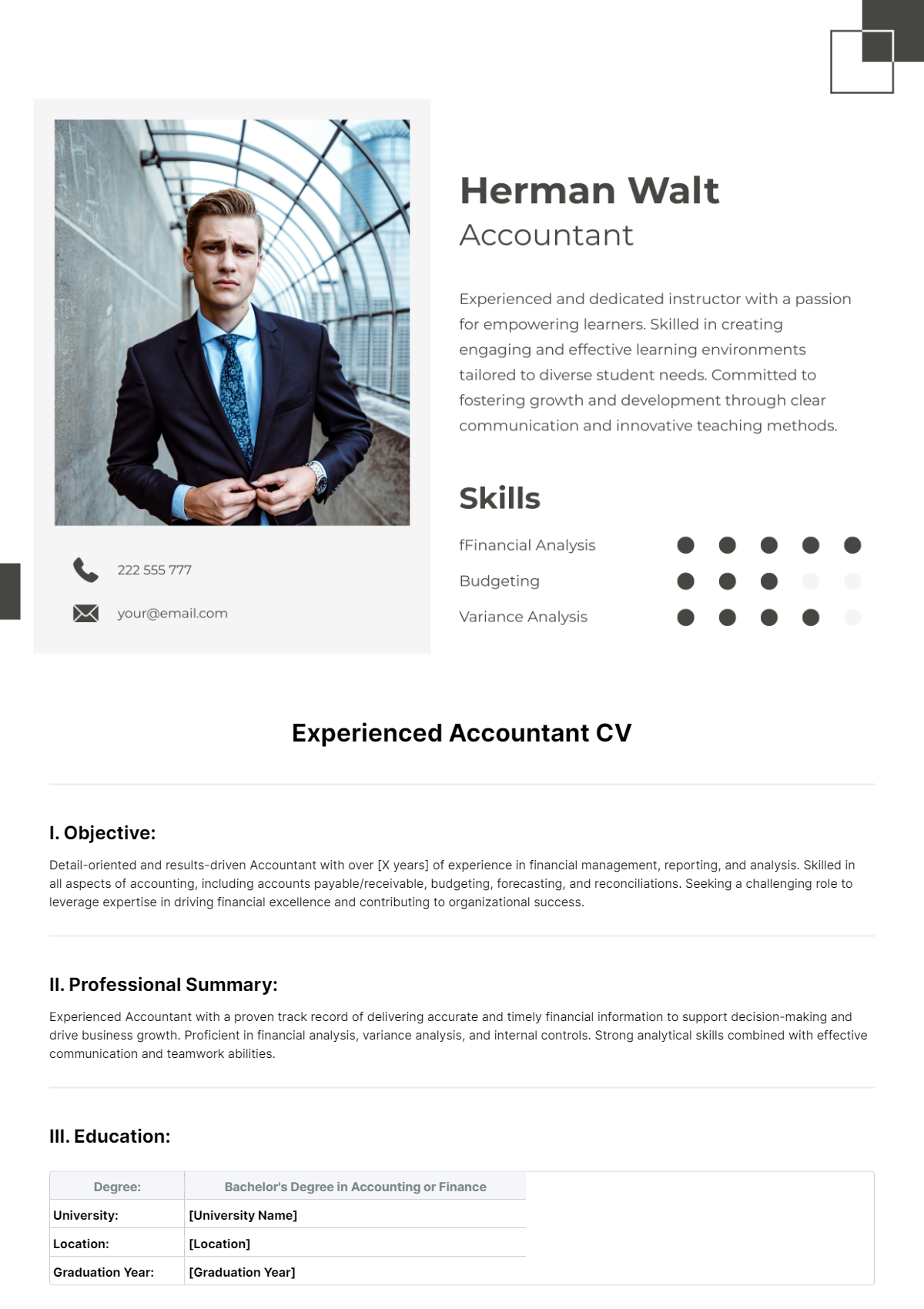 Experienced Accountant CV Template - Edit Online & Download