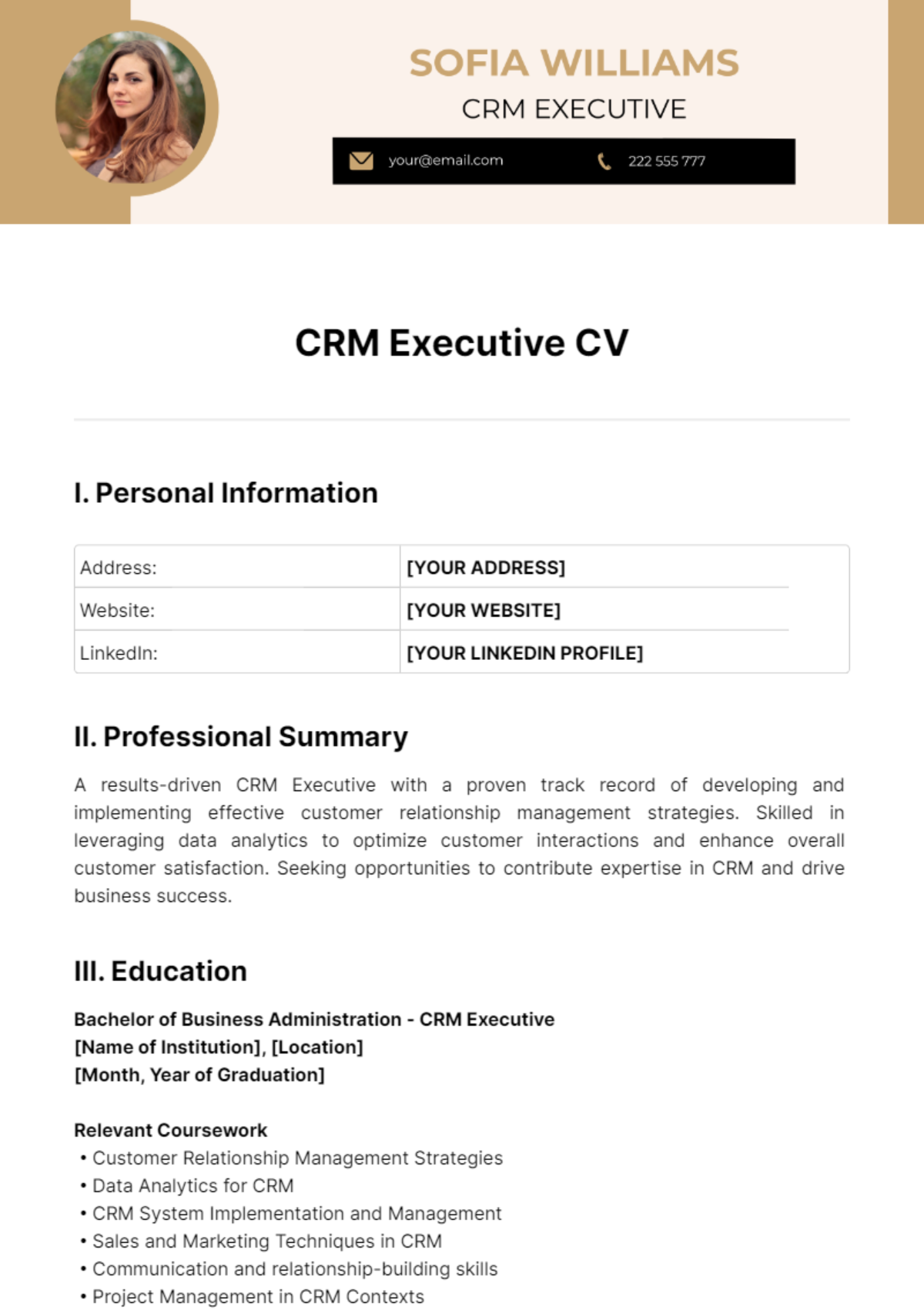 CRM Executive CV Template - Edit Online & Download