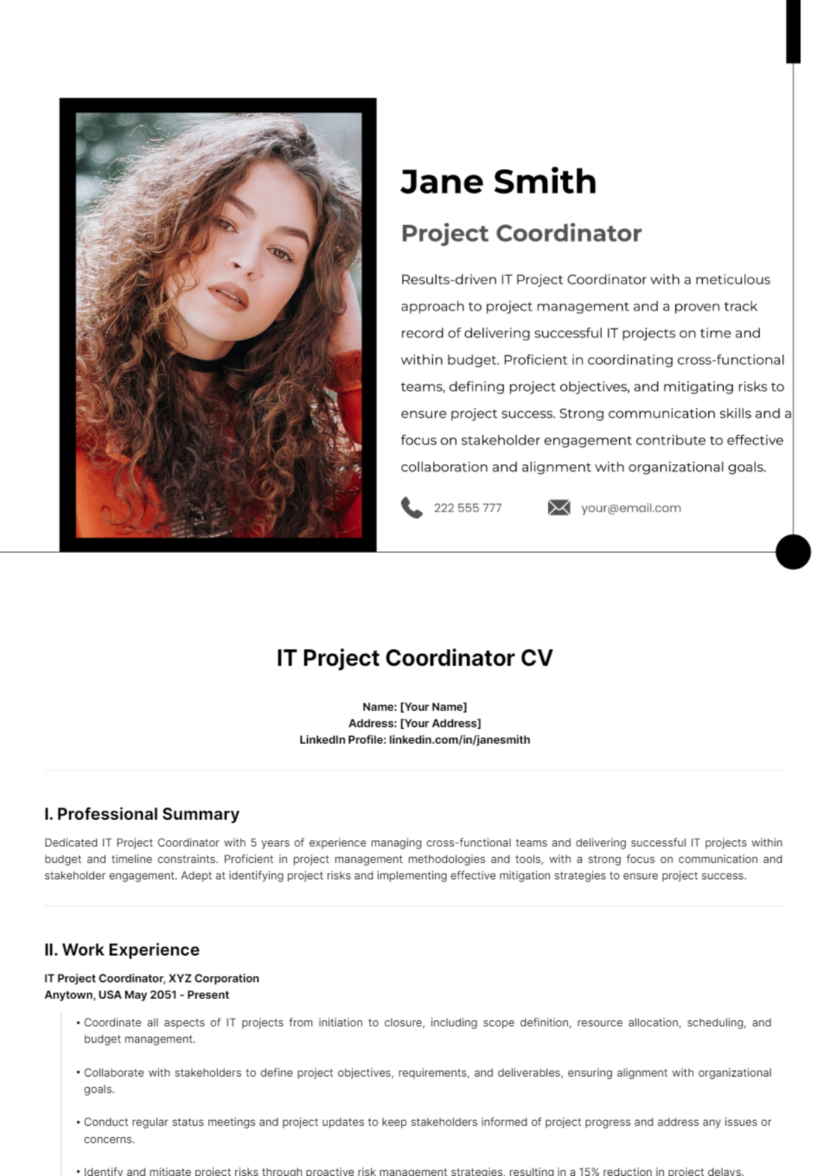 IT Project Coordinator CV Template - Edit Online & Download