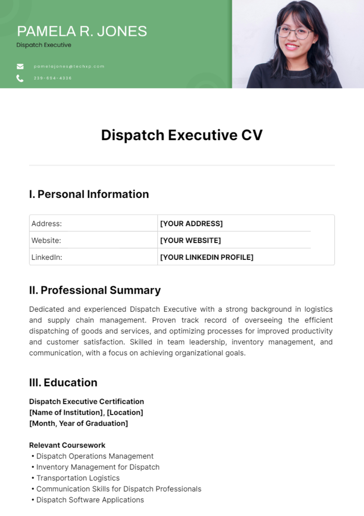 Dispatch Executive CV Template - Edit Online & Download