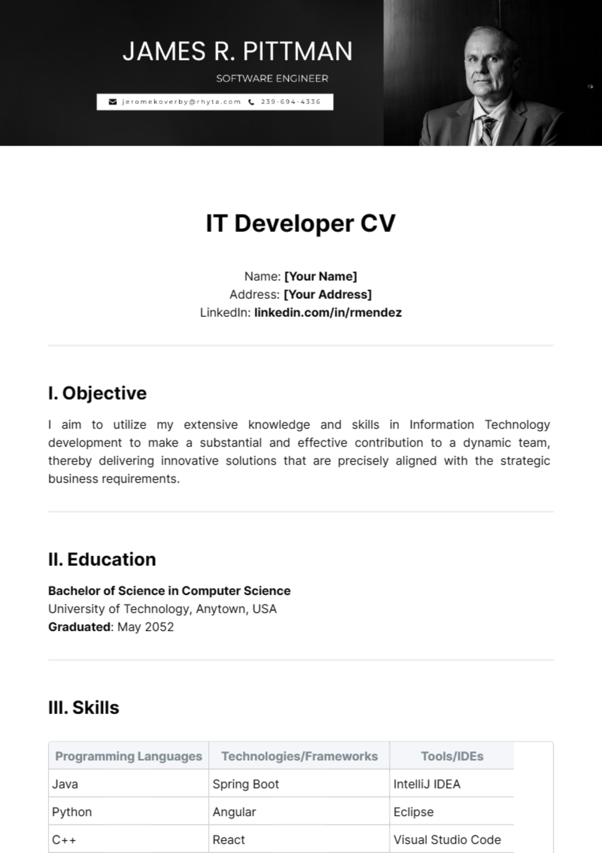 IT Developer CV Template - Edit Online & Download