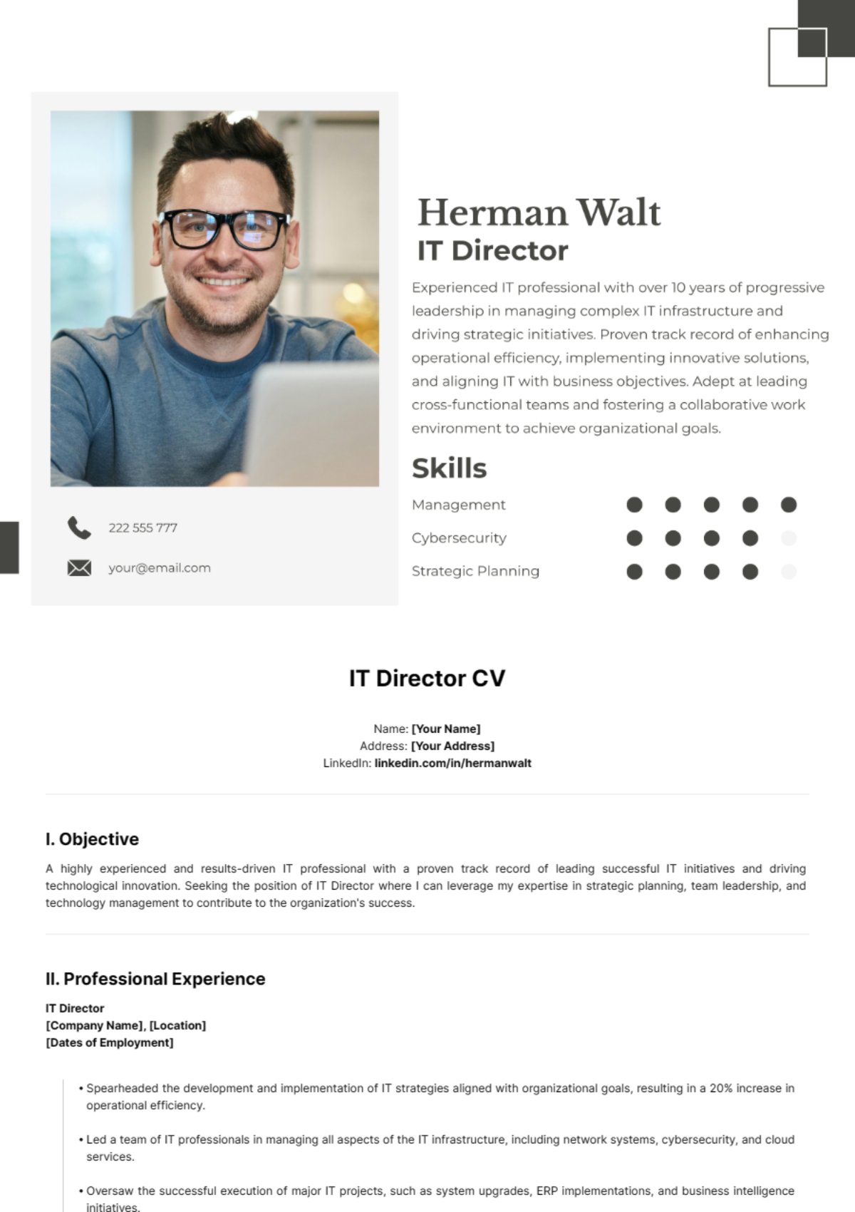 IT Director CV Template - Edit Online & Download Example | Template.net