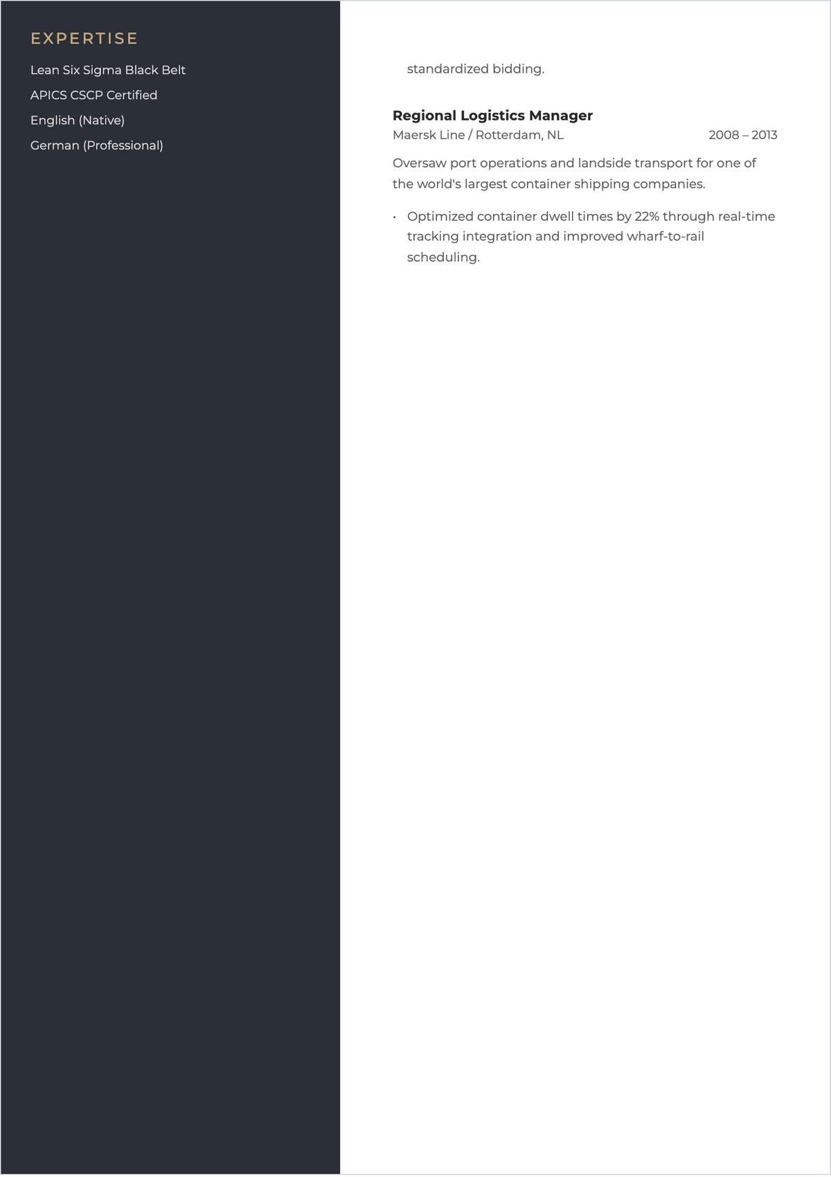 Free Managing Director ATS CV Template, AI CV Builder