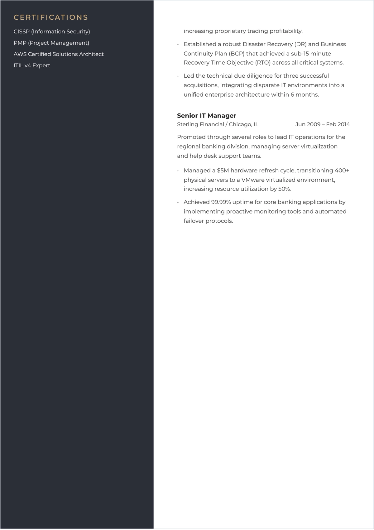 Free IT Executive ATS CV Template, AI CV Builder