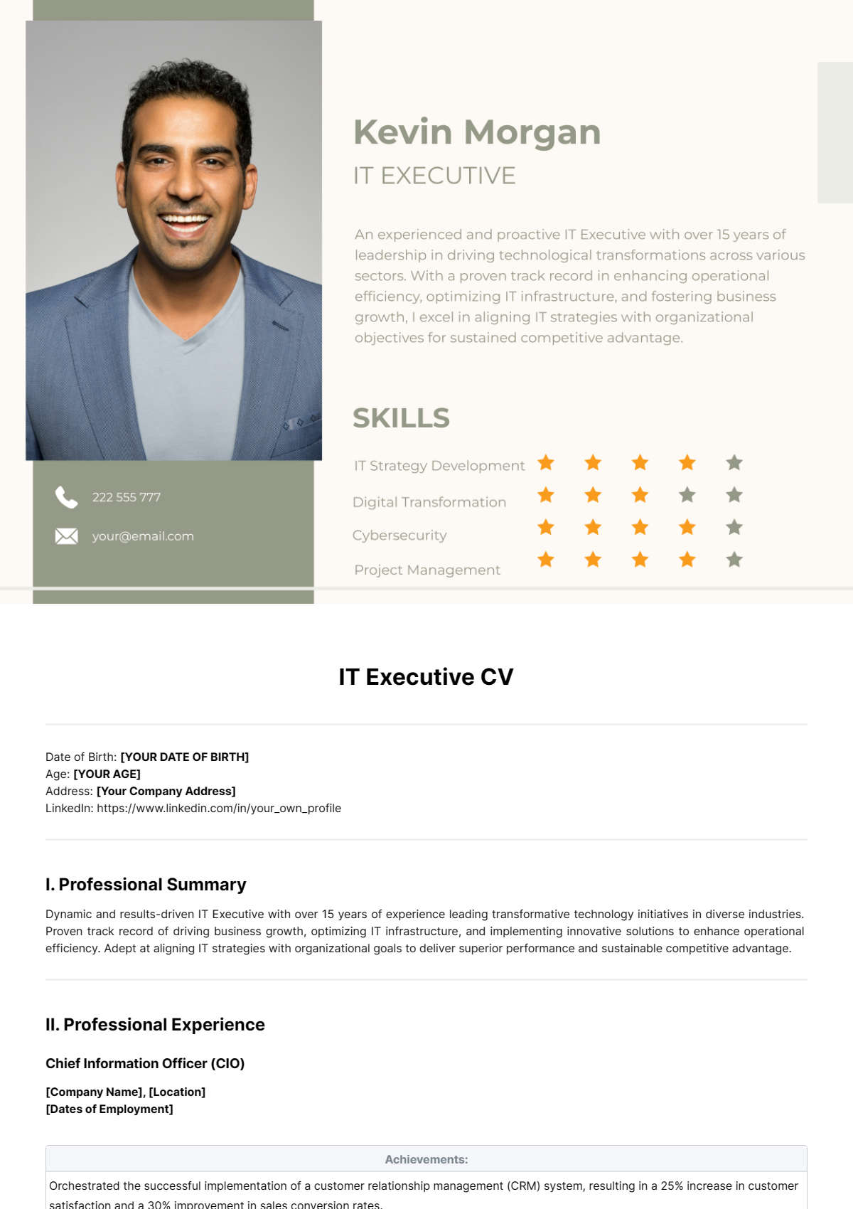 IT Executive CV Template - Edit Online & Download