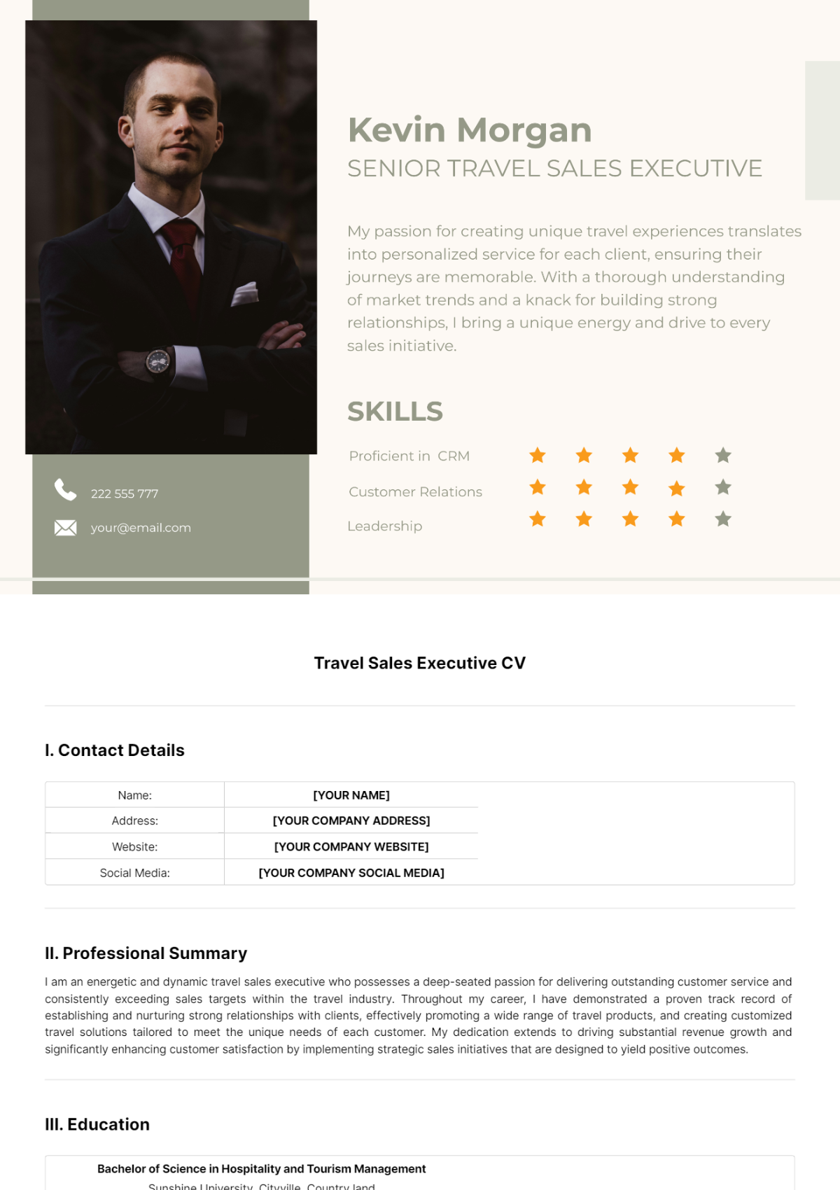 Travel Sales Executive CV Template - Edit Online & Download