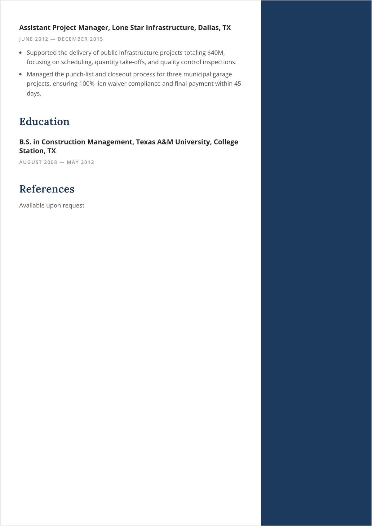 Free Project Executive ATS CV Template, AI CV Builder